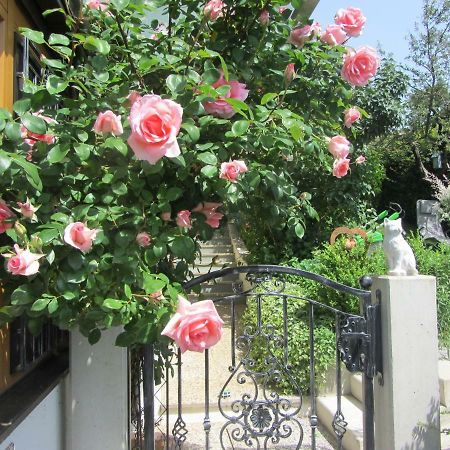 Anna'S Home - Ferienwohnungen Ratsch an der Weinstrasse Luaran gambar