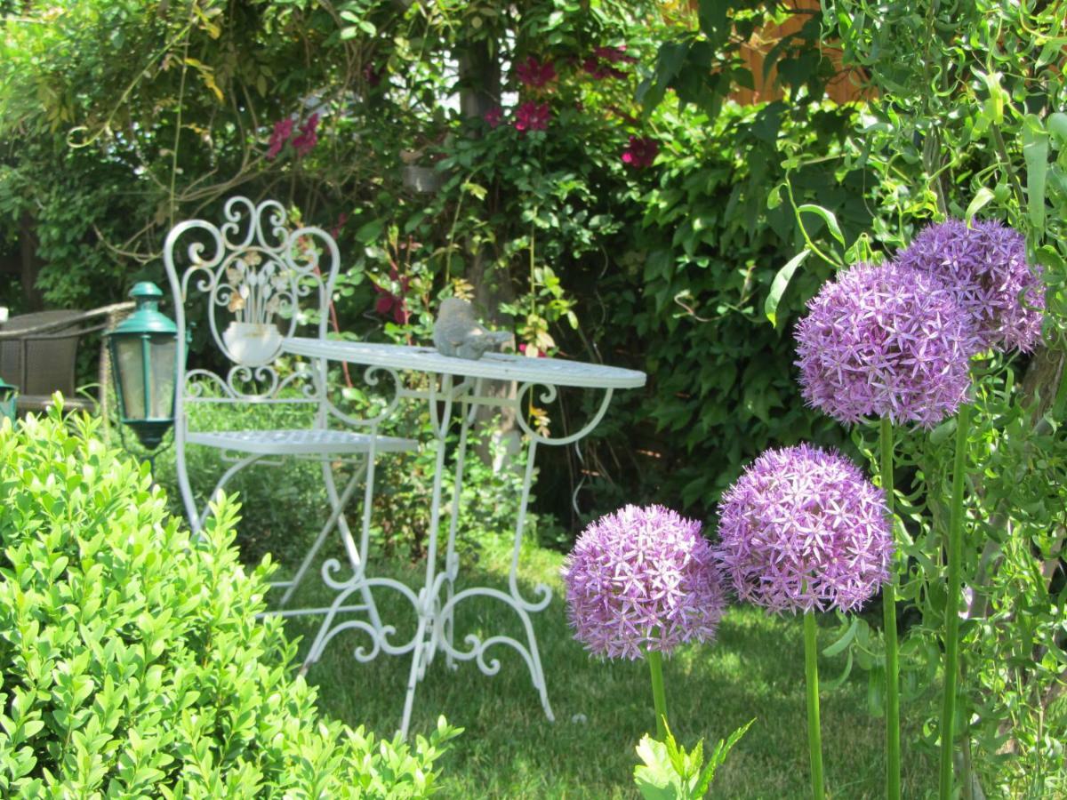 Anna'S Home - Ferienwohnungen Ratsch an der Weinstrasse Luaran gambar